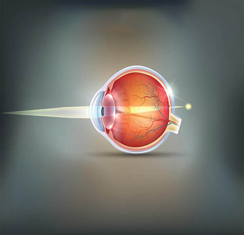 Presbyopia Treatment in Amritsar |